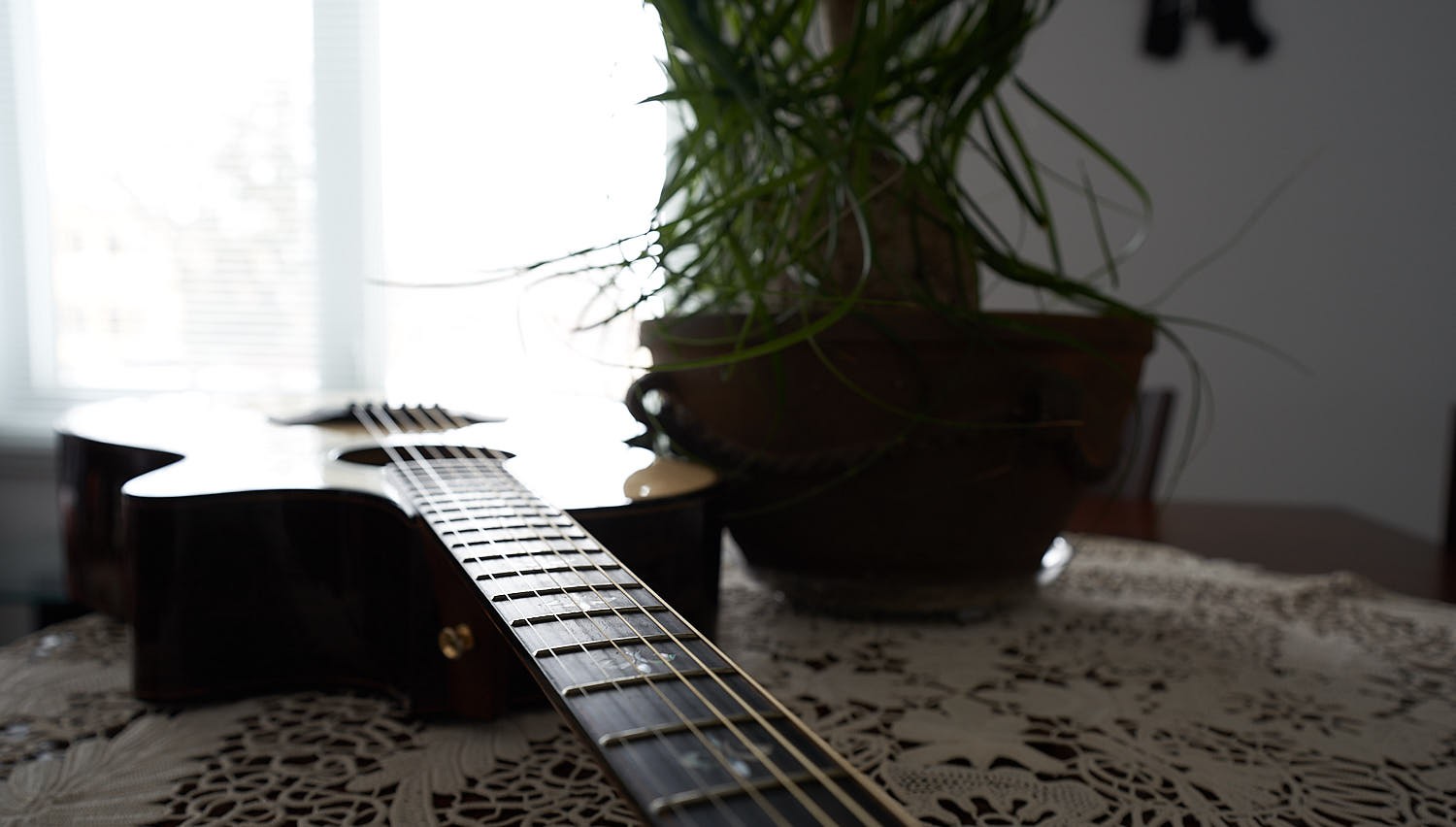 Life like a flower and a guitar